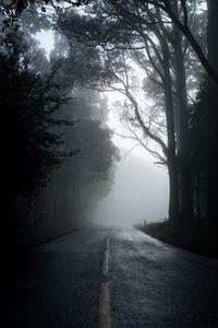 Preview wallpaper fog, road, trees, asphalt, emptiness