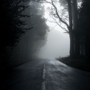 Preview wallpaper fog, road, trees, asphalt, emptiness