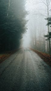 Preview wallpaper fog, road, trees, branches, autumn