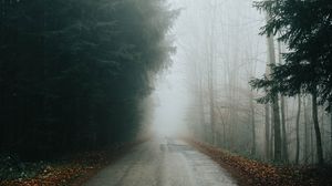 Preview wallpaper fog, road, trees, branches, autumn