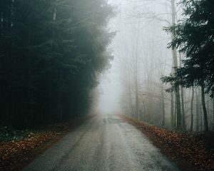 Preview wallpaper fog, road, trees, branches, autumn