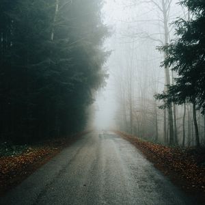 foggy road wallpaper