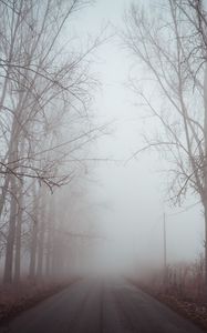 Preview wallpaper fog, road, trees, dawn, silence