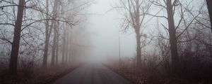 Preview wallpaper fog, road, trees, dawn, silence