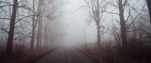 Preview wallpaper fog, road, trees, dawn, silence