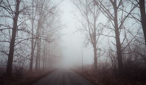 Preview wallpaper fog, road, trees, dawn, silence