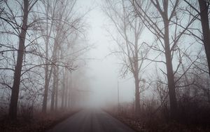 Preview wallpaper fog, road, trees, dawn, silence