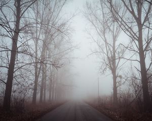 Preview wallpaper fog, road, trees, dawn, silence