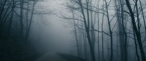 Preview wallpaper fog, road, trees, gloomy, dark