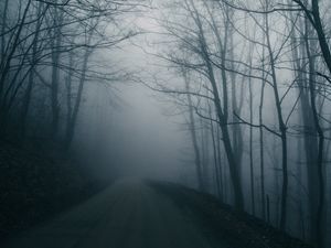 Preview wallpaper fog, road, trees, gloomy, dark
