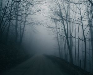 Preview wallpaper fog, road, trees, gloomy, dark