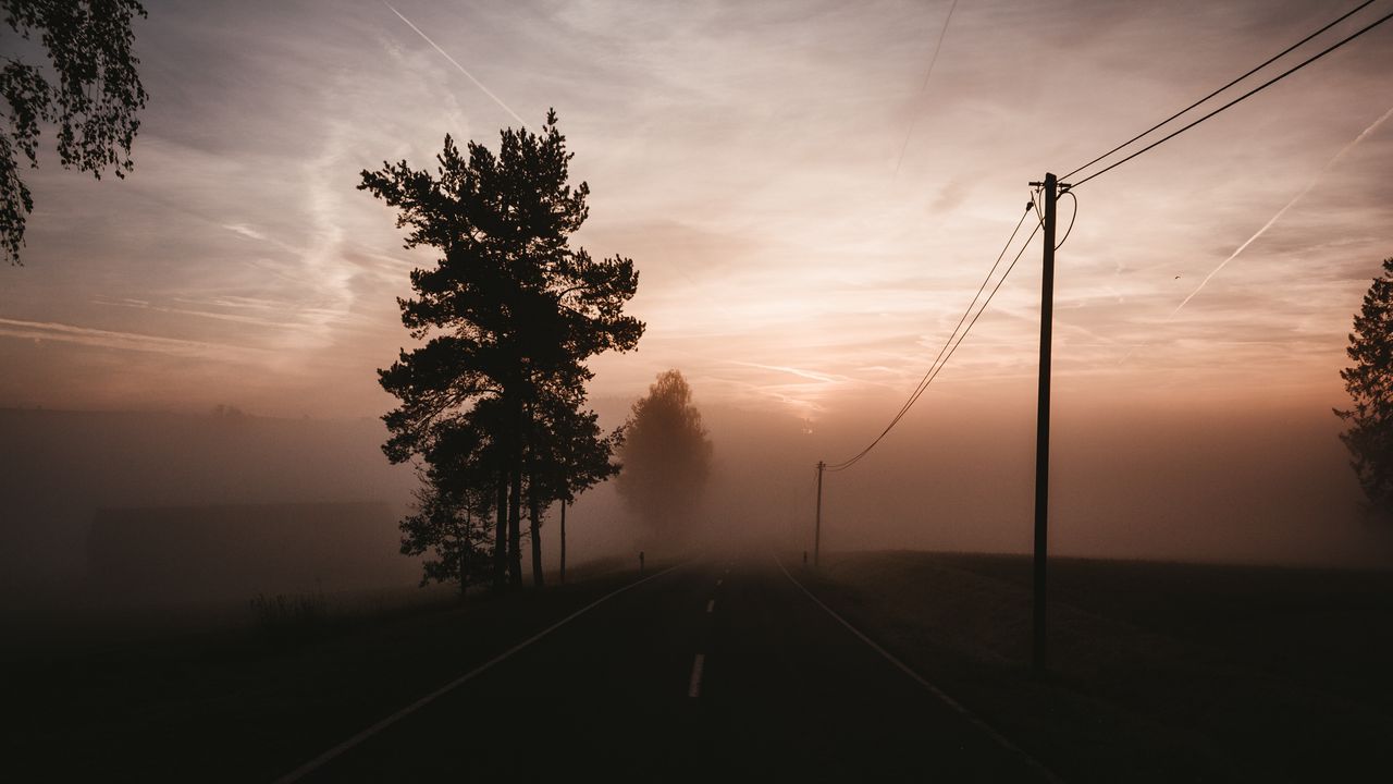 Wallpaper fog, road, trees, twilight, sky