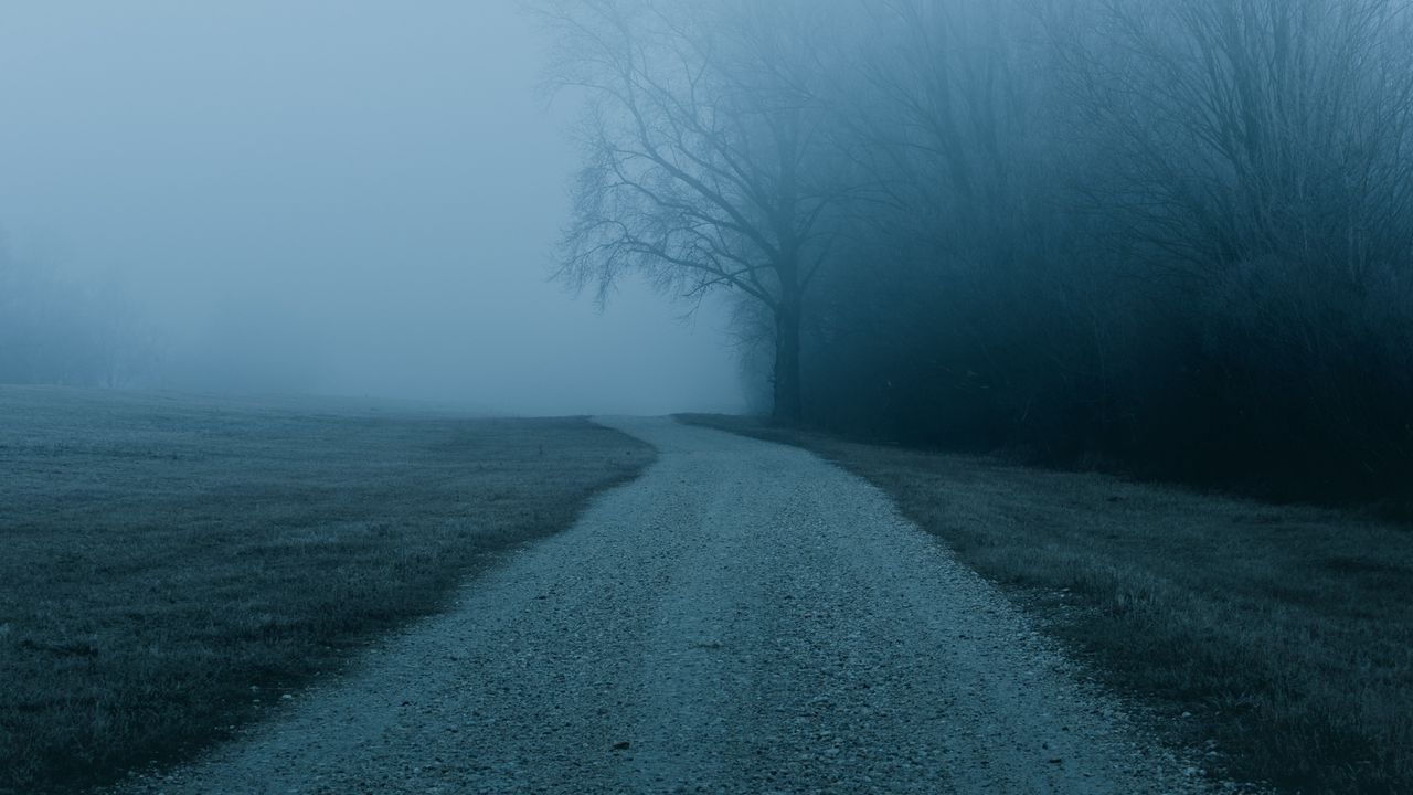 Wallpaper fog, road, trees, nature hd, picture, image