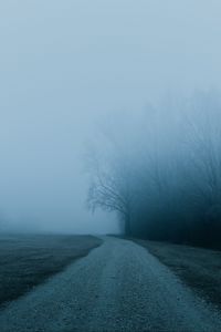 Preview wallpaper fog, road, trees, nature