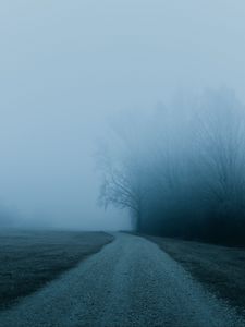 Preview wallpaper fog, road, trees, nature