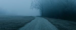 Preview wallpaper fog, road, trees, nature