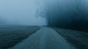 Preview wallpaper fog, road, trees, nature