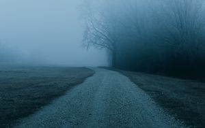 Preview wallpaper fog, road, trees, nature