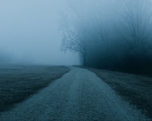 Preview wallpaper fog, road, trees, nature