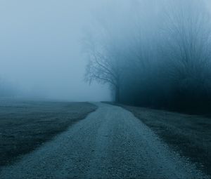 Preview wallpaper fog, road, trees, nature