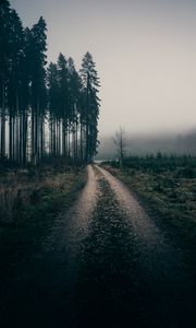 Preview wallpaper fog, road, trees, nature, landscape