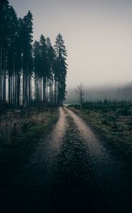 Preview wallpaper fog, road, trees, nature, landscape