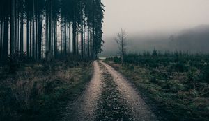 Preview wallpaper fog, road, trees, nature, landscape