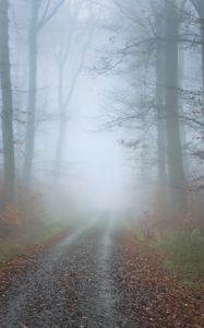 Preview wallpaper fog, road, trees, forest, autumn