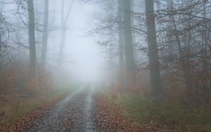 Preview wallpaper fog, road, trees, forest, autumn