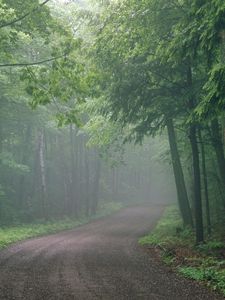 Preview wallpaper fog, road, wood, uncertainty, haze