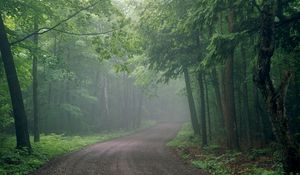 Preview wallpaper fog, road, wood, uncertainty, haze