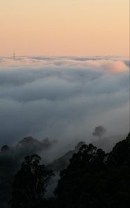 Preview wallpaper fog, slope, clouds, trees, sky