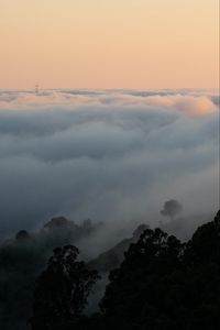 Preview wallpaper fog, slope, clouds, trees, sky