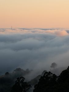 Preview wallpaper fog, slope, clouds, trees, sky