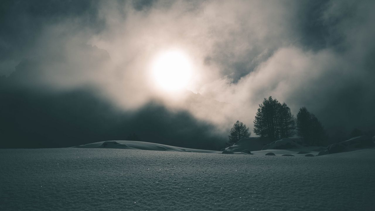 Wallpaper fog, snow, trees, night