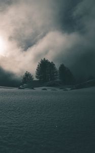 Preview wallpaper fog, snow, trees, night
