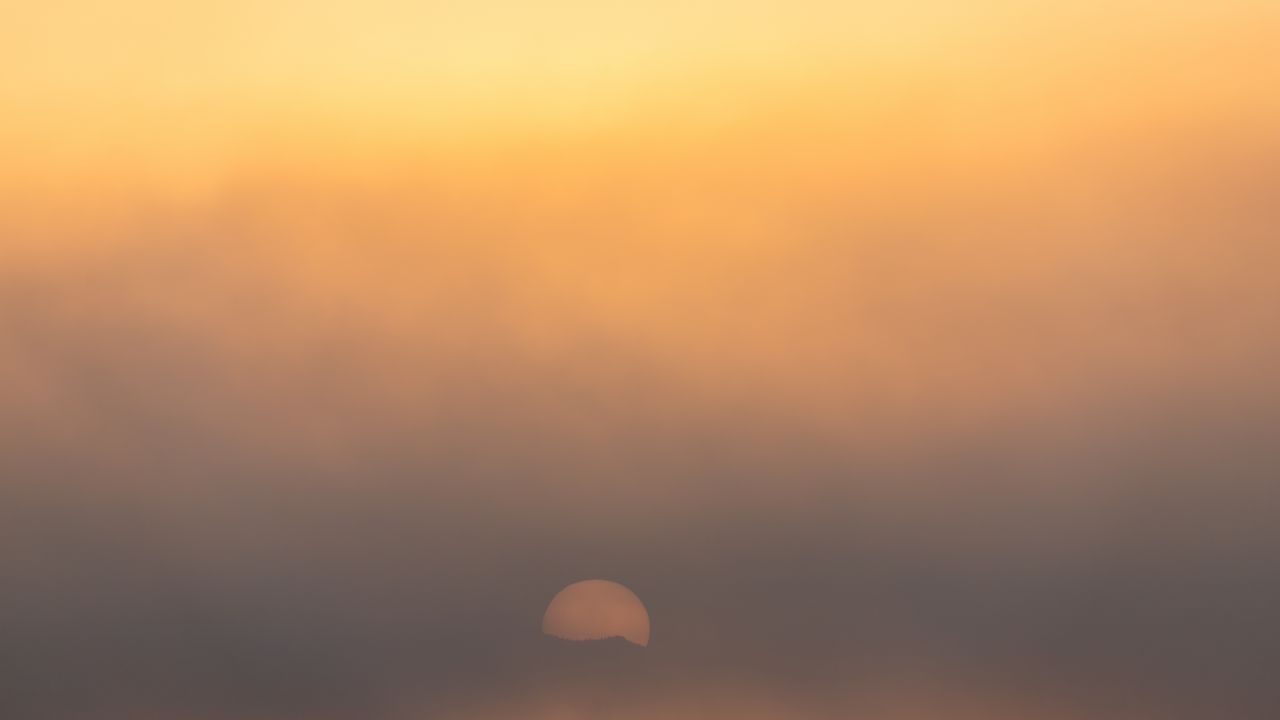 Wallpaper fog, sun, minimalism, nature