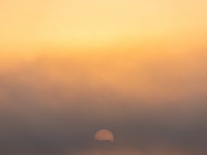 Preview wallpaper fog, sun, minimalism, nature