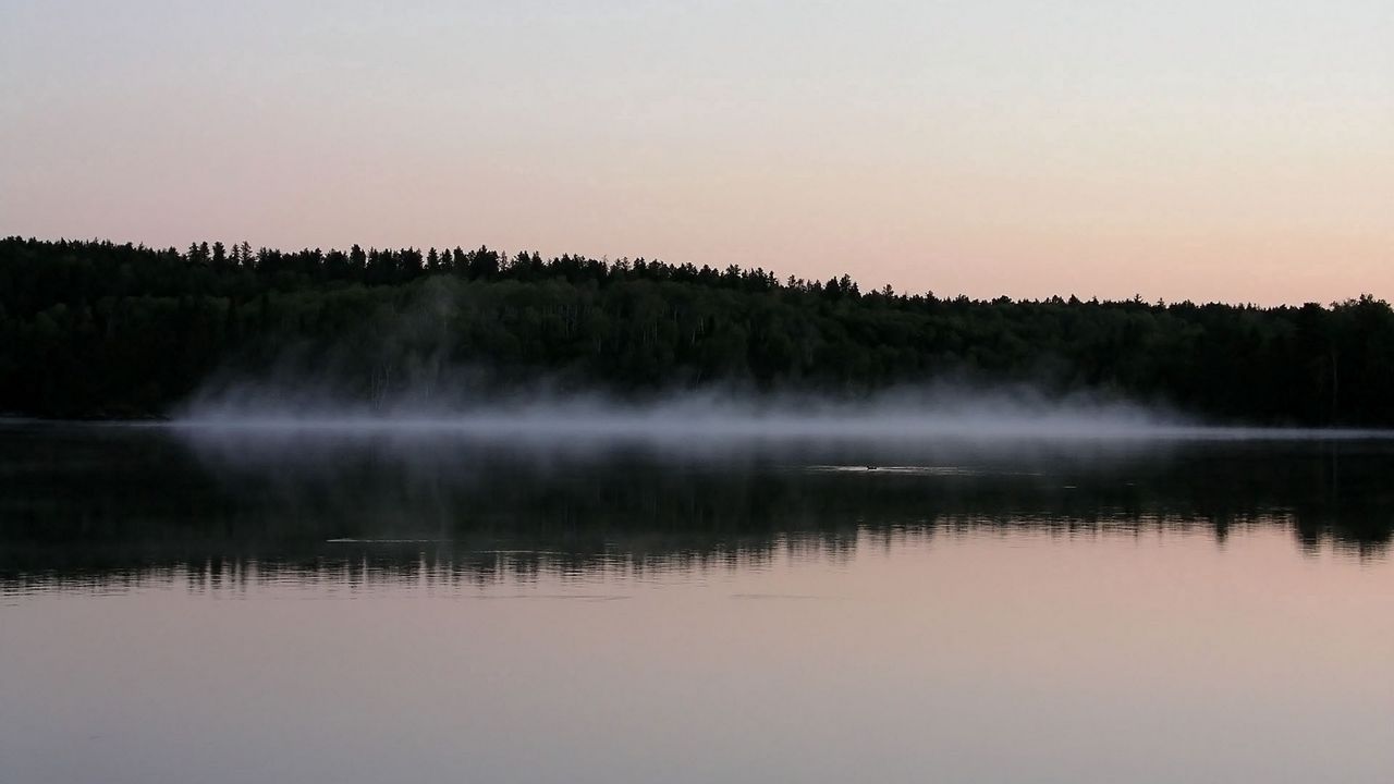 Wallpaper fog, surface of the water, trees, coast, evening, outlines
