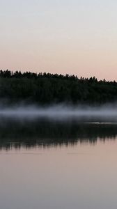 Preview wallpaper fog, surface of the water, trees, coast, evening, outlines