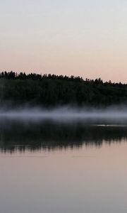 Preview wallpaper fog, surface of the water, trees, coast, evening, outlines