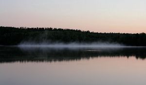 Preview wallpaper fog, surface of the water, trees, coast, evening, outlines