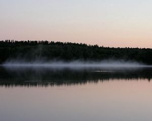 Preview wallpaper fog, surface of the water, trees, coast, evening, outlines