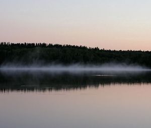 Preview wallpaper fog, surface of the water, trees, coast, evening, outlines