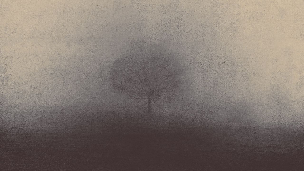 Wallpaper fog, tree, art, mystical