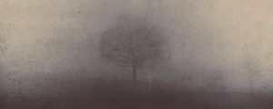 Preview wallpaper fog, tree, art, mystical