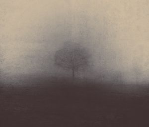 Preview wallpaper fog, tree, art, mystical