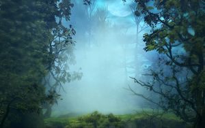 Preview wallpaper fog, trees, art, forest, branches