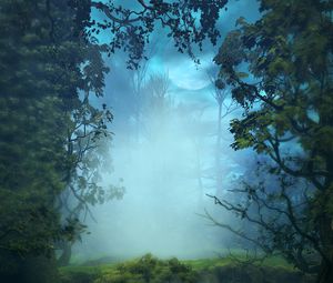 Preview wallpaper fog, trees, art, forest, branches