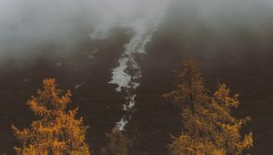 Preview wallpaper fog, trees, autumn, slope